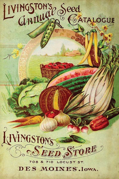 Canvas Home Wall Prints Vintage Burpee Vegetable Seed Packet Print Color Picture